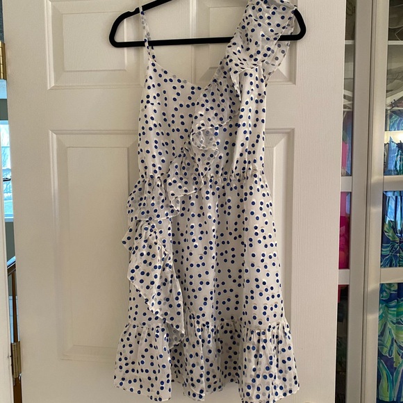 NWT Lilly Pulitzer Madelina Dress Polka Dot XS - Picture 4 of 7